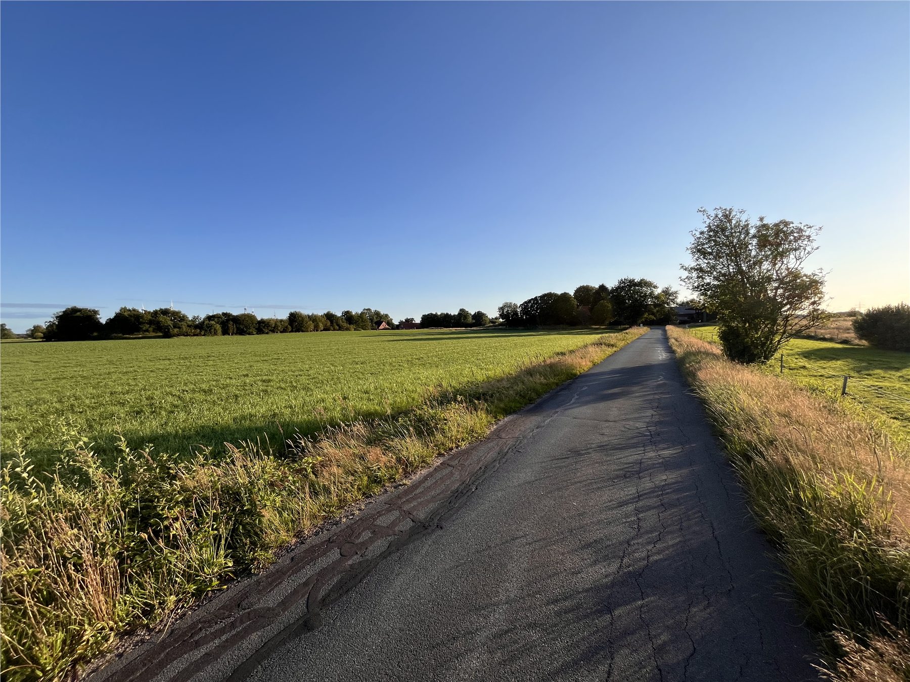 Schmale Dorfstraße zwischen grünen Feldern am Ortsrand von Neuschoo
